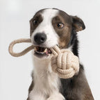 Snuffel Kauwtouw – Hondenspeeltje van touw (3 stuks)